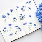 Watercolour Cornflower sticker pack