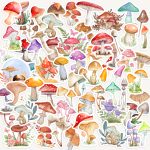 Hand-drawn mushroom sticker grab bag, featuring a variety of colourful fungi, toadstools and forest fungi. printed on premium matte paper.