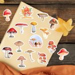 autumn mushroom sticker grab bag