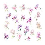 Watercolour Orchid Sticker Pack